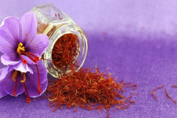 Nhụy hoa nghê tây saffron là gì? Tác dụng và cách sử dụng như nào là tốt nhất?